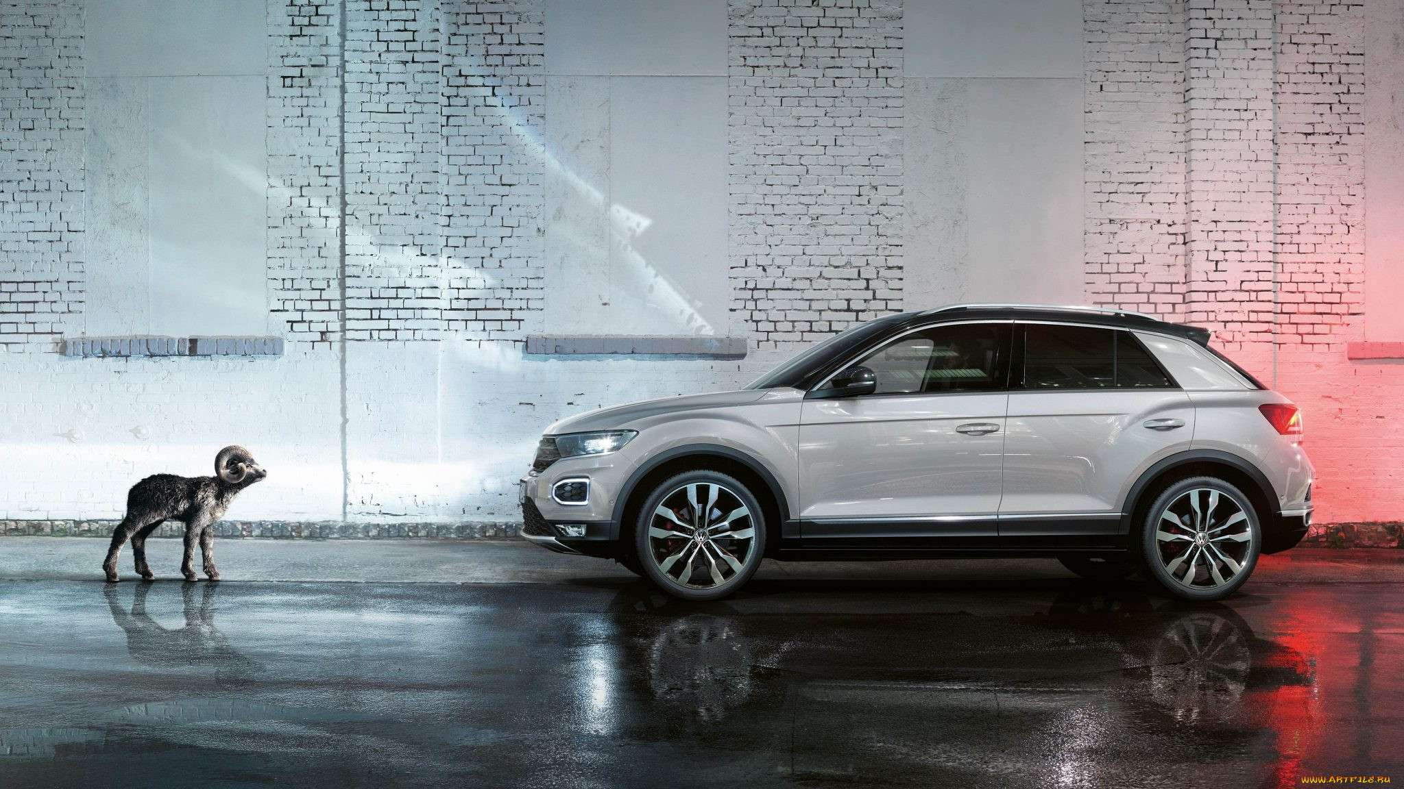 , volkswagen, car